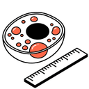 Biomolecular Condensates & Phase Separation