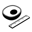 Cell Morphology & Phenotypic Profiling