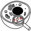 Lipid Droplet Quantification