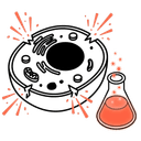 Lipid Peroxidation & Oxidative Stress (ROS)