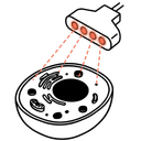 Multiplex Imaging Analysis
