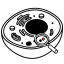 Protein Co-localization & Co-expression