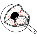 Single-Molecule RNAscope / FISH