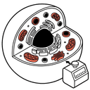 Sub-Object Quantification