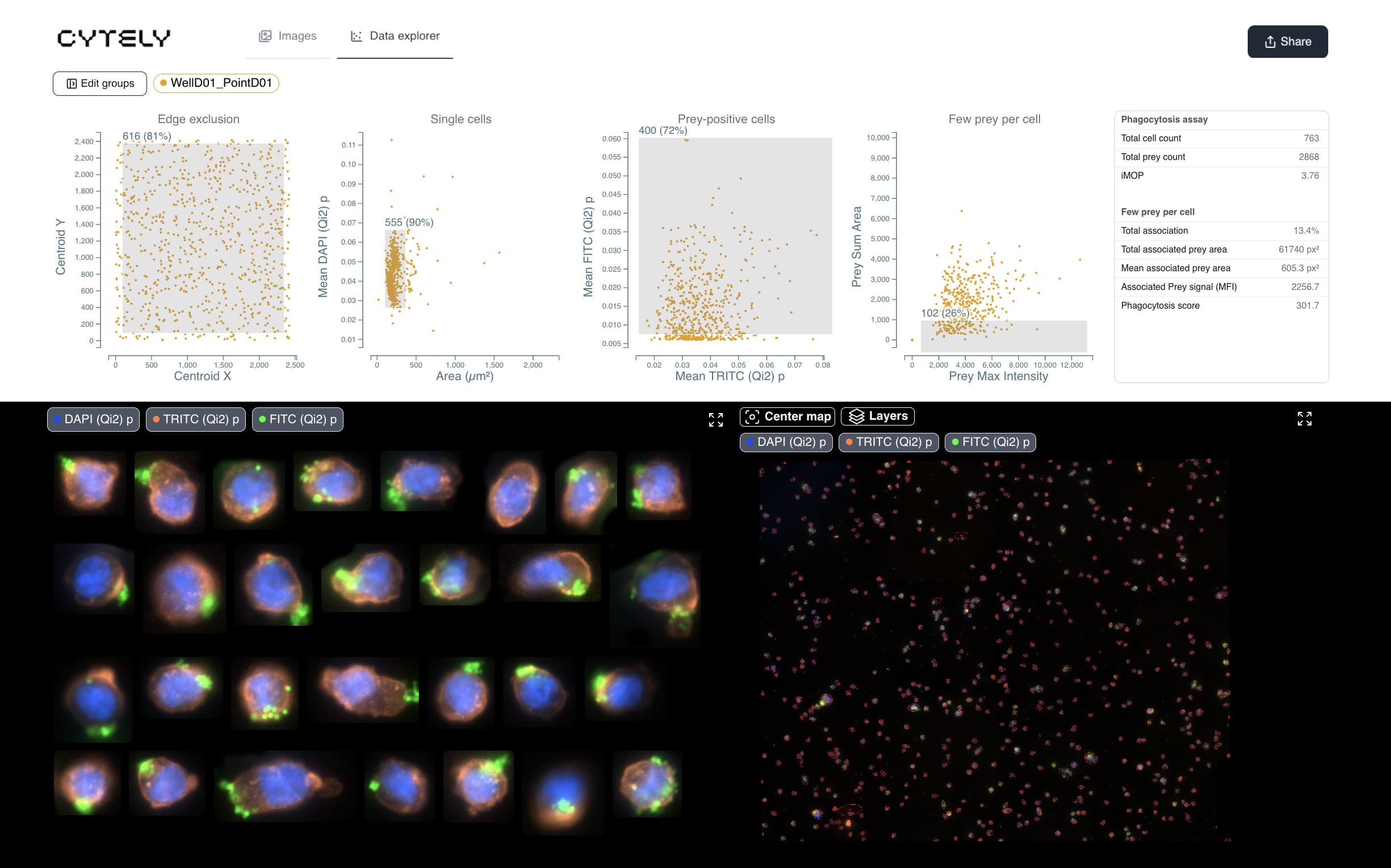Cytely Data Explorer with gated scatter plots, the matching cell crops and an overview map of the sample
