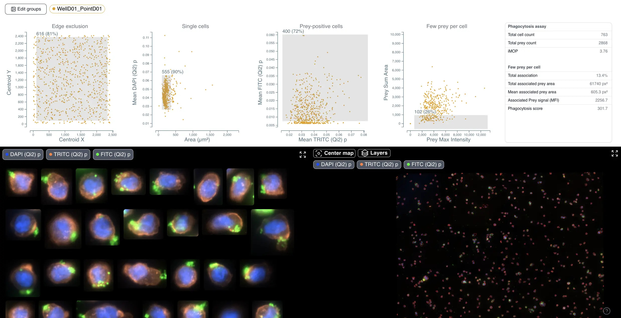 Preview of shared phagocytosis dataset in Cytely